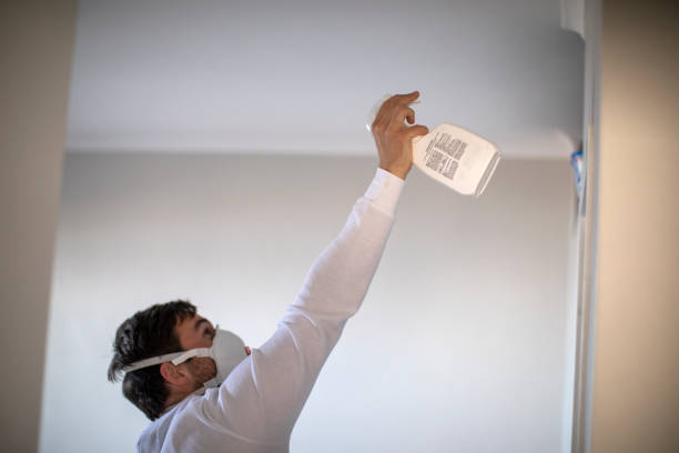 Best Mold Testing  in Shelton, CT