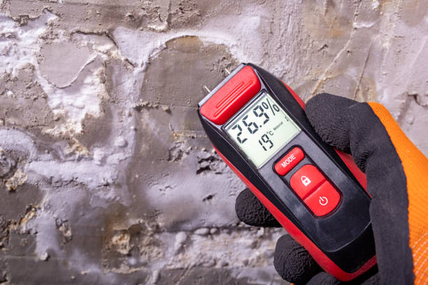 Mold Removal Process in Shelton, CT