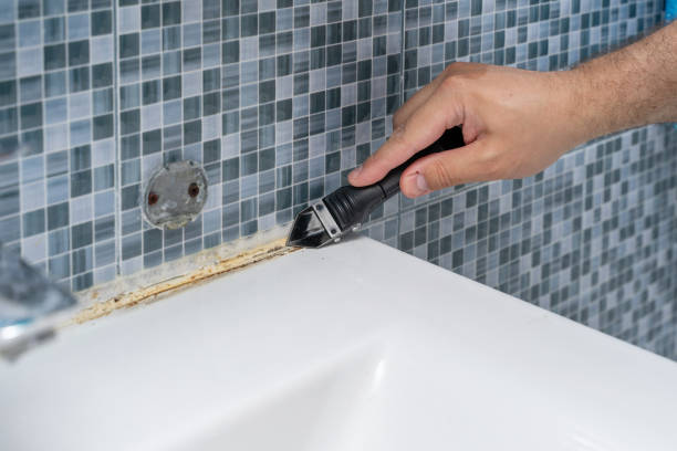 Best Mold Removal Process  in Shelton, CT